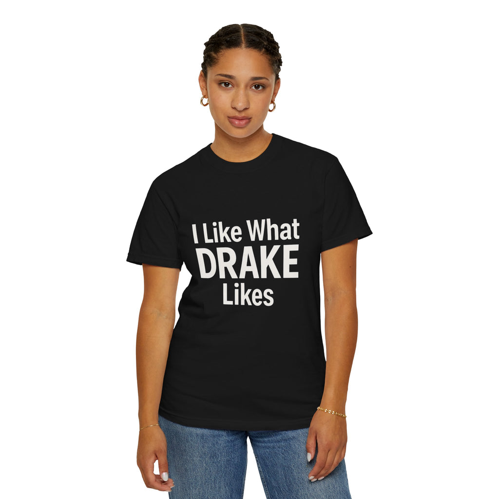 I Like What Drake Likes T-Shirt