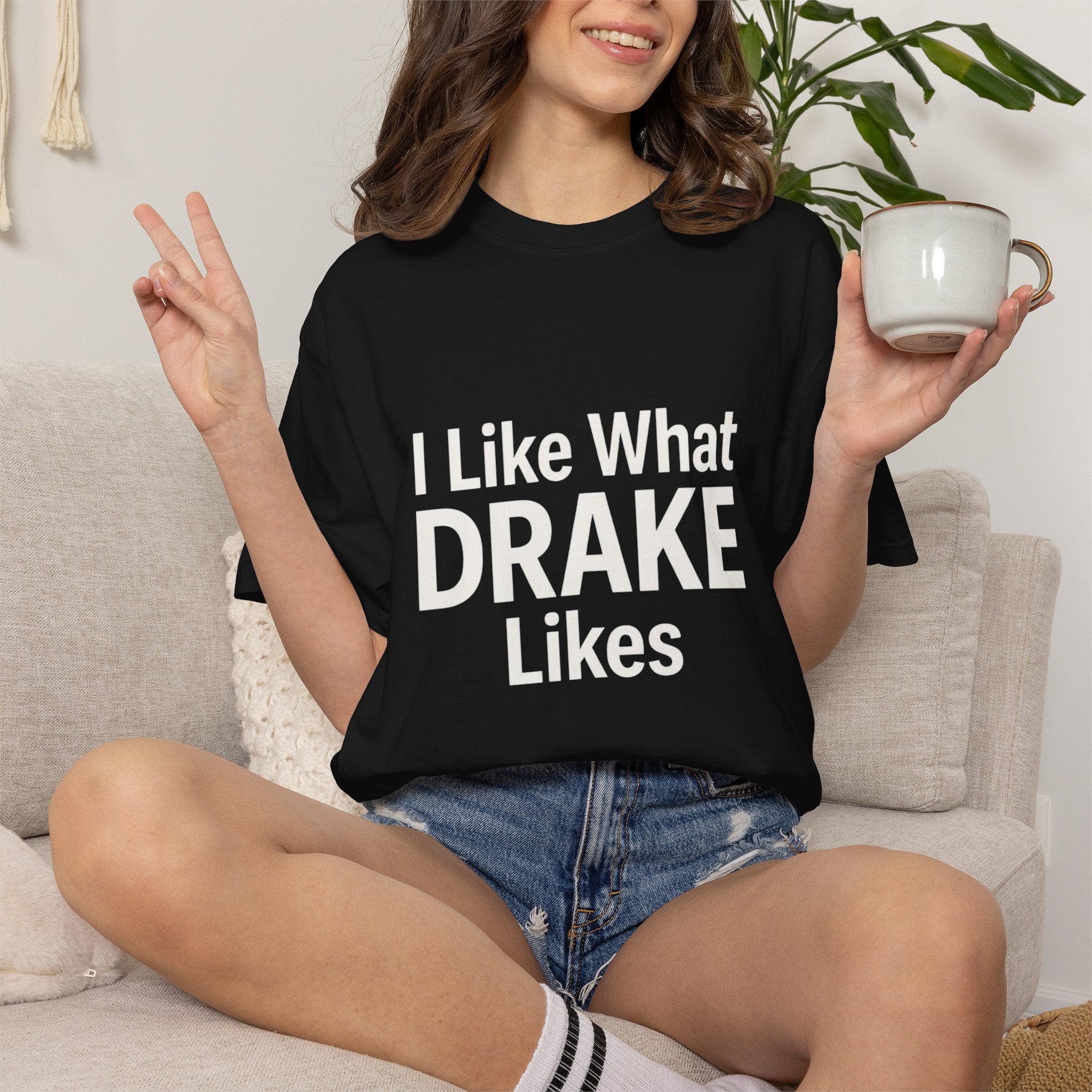 I Like What Drake Likes T-Shirt