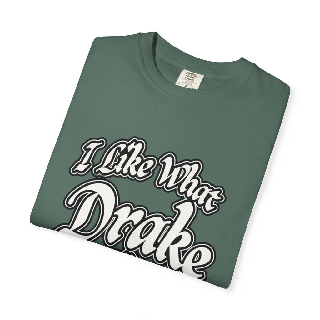 I Like What Drake Likes T-Shirt