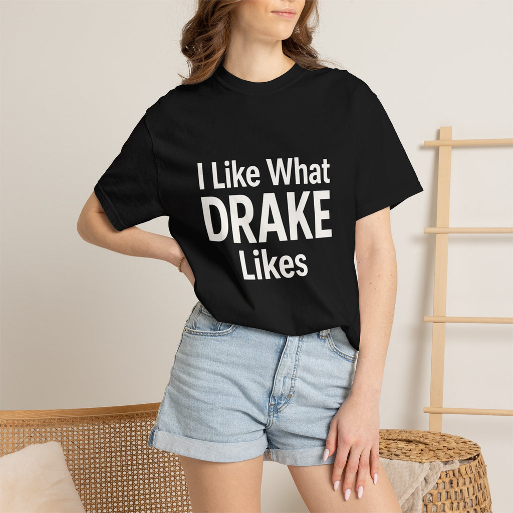 I Like What Drake Likes T-Shirt