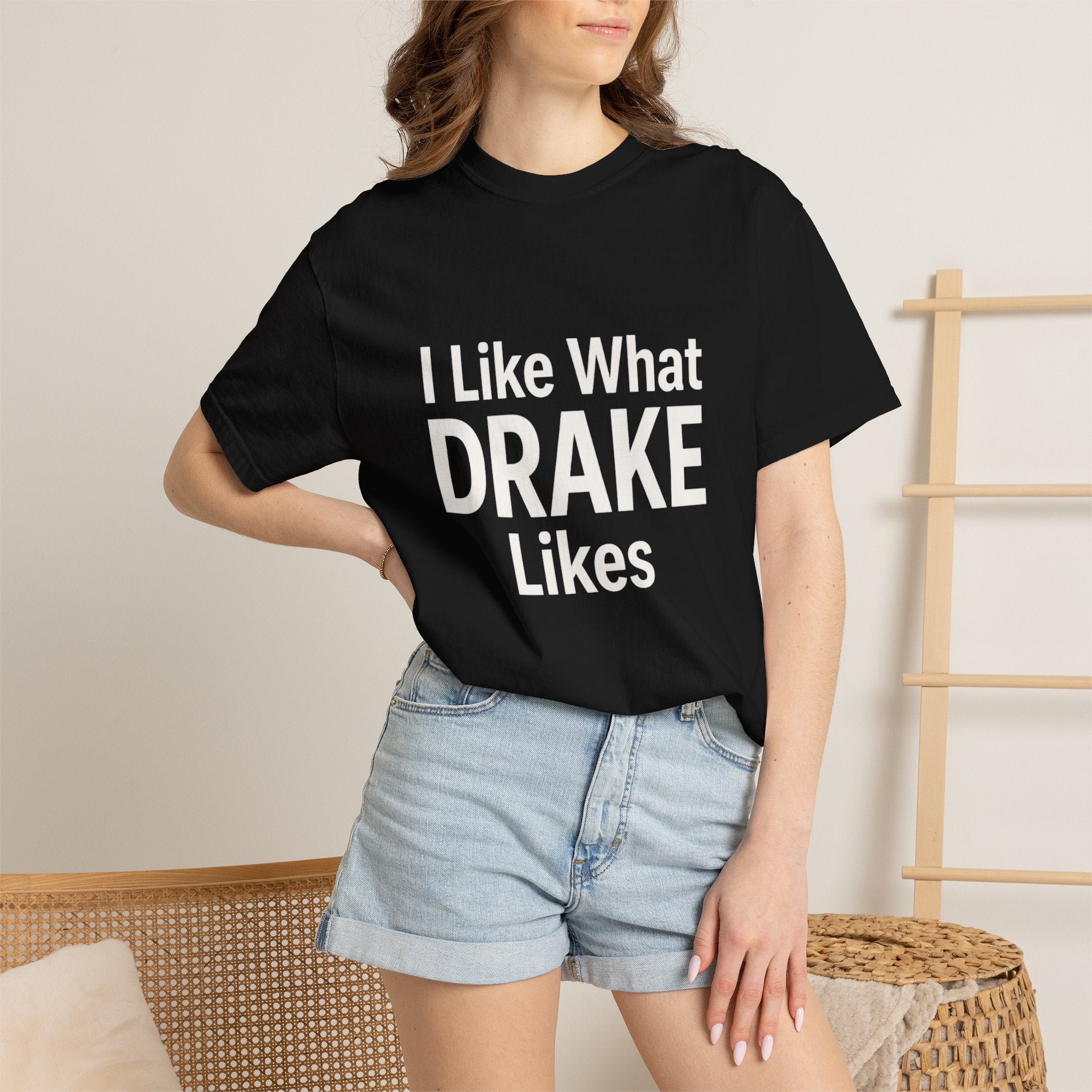 I Like What Drake Likes T-Shirt