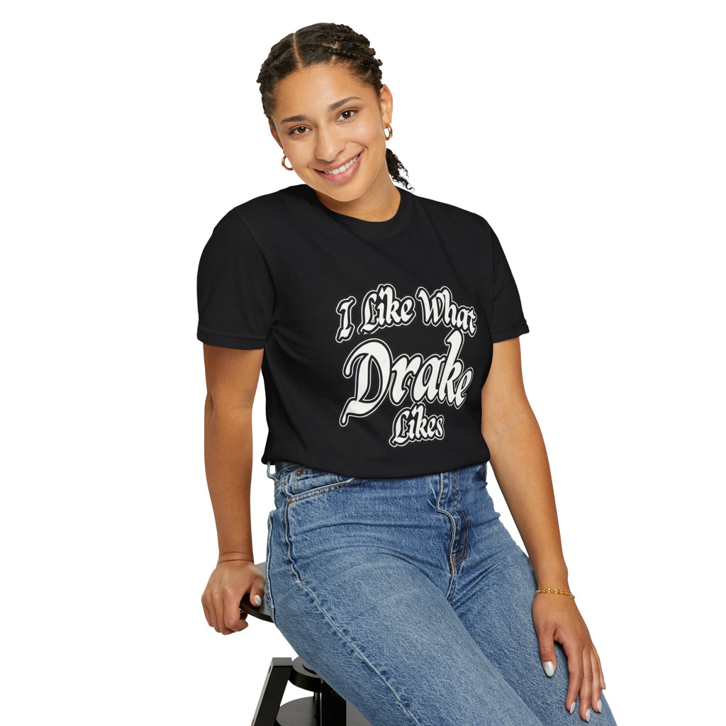 I Like What Drake Likes T-Shirt
