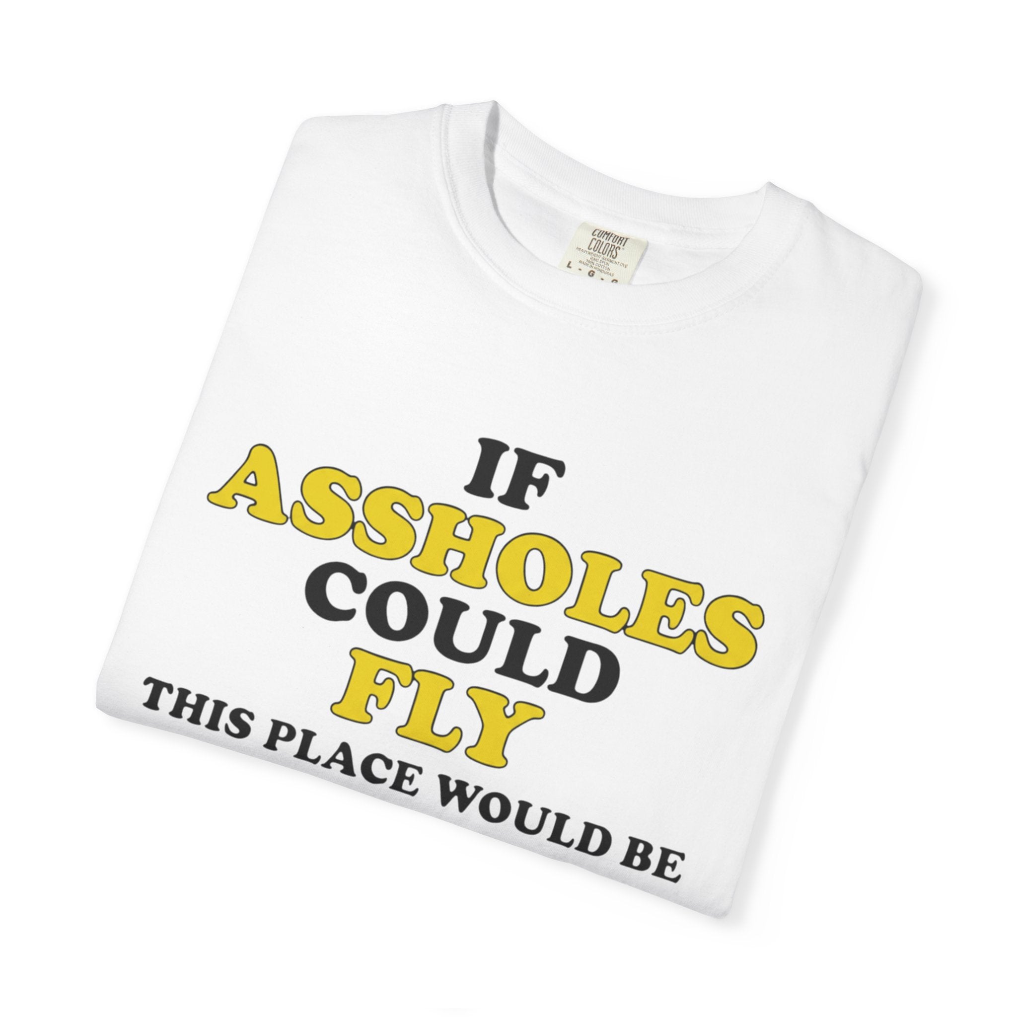 If Assholes Could Fly T-Shirt Funny Graphic Tee