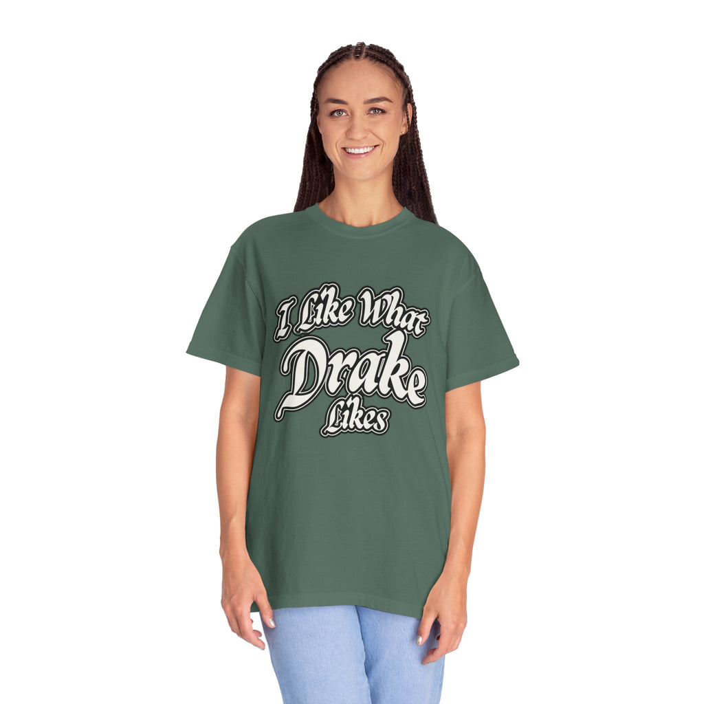 I Like What Drake Likes T-Shirt