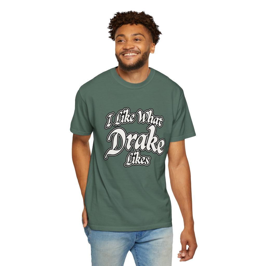 I Like What Drake Likes T-Shirt