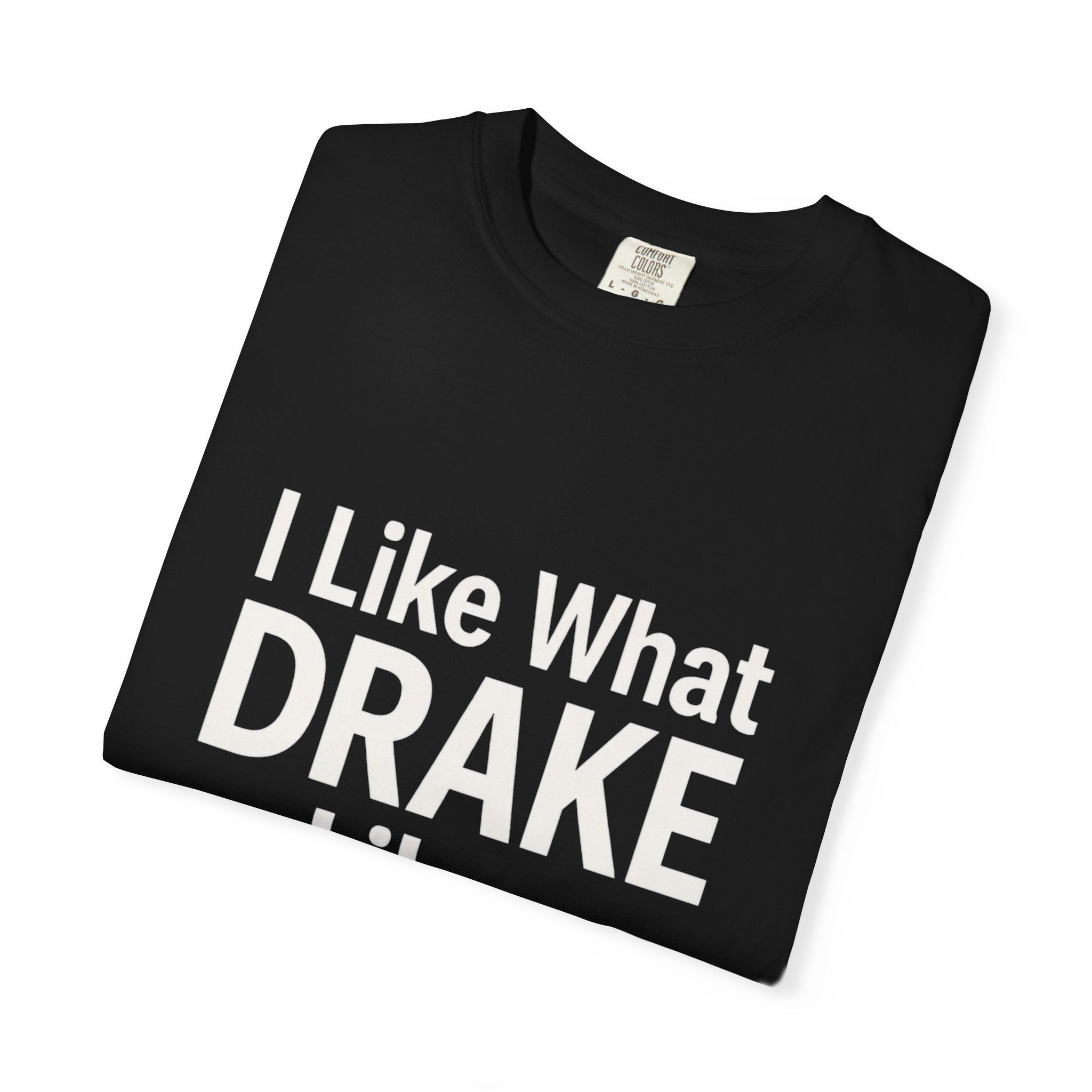 I Like What Drake Likes T-Shirt