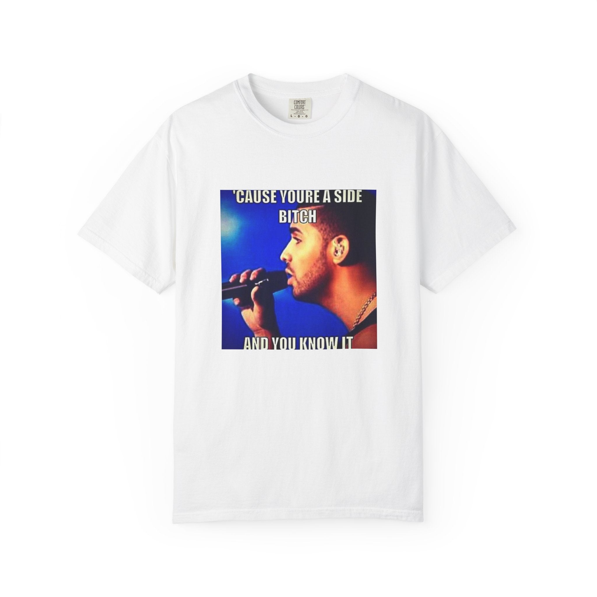 Drake Funny Lyric "Cause You're a Side Bitch and You Know It" Graphic T-Shirt