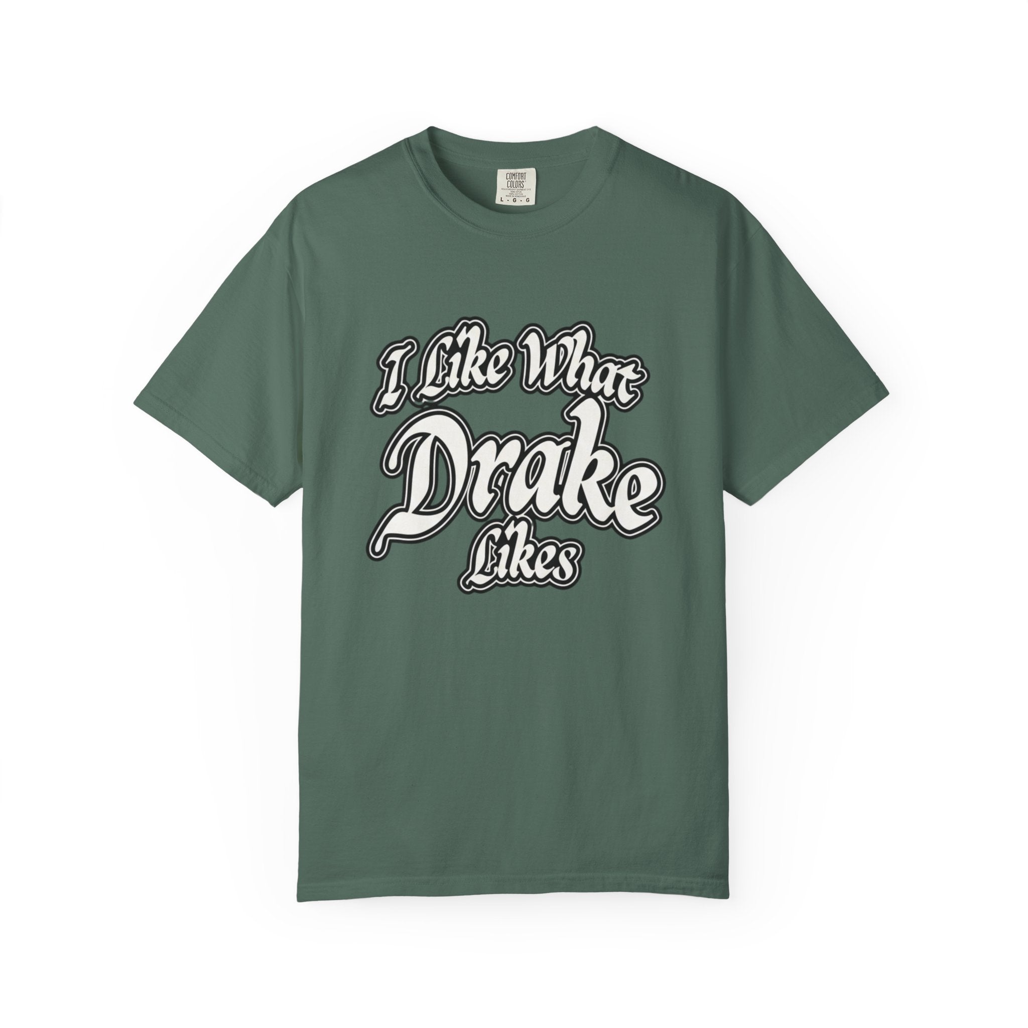 I Like What Drake Likes T-Shirt